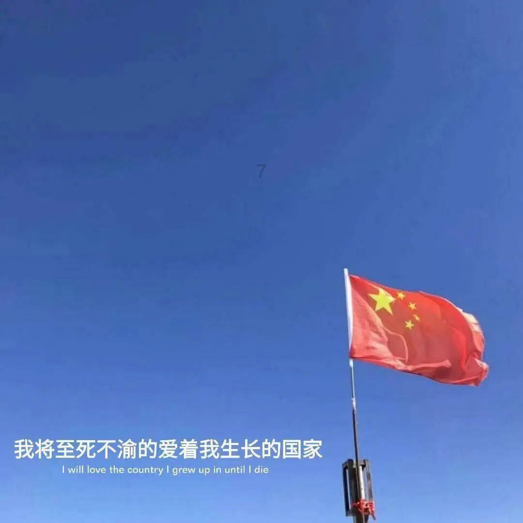 奥利维亚收养猫