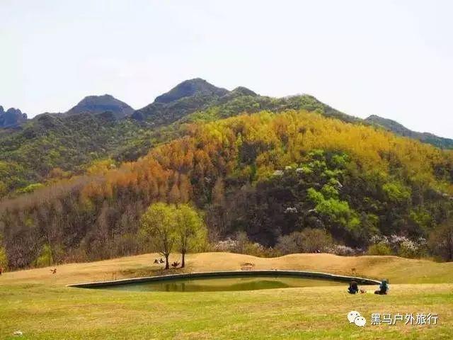 婚礼上司仪问新郎结婚后最想做的事是什么 老公说生孩子？游戏画面