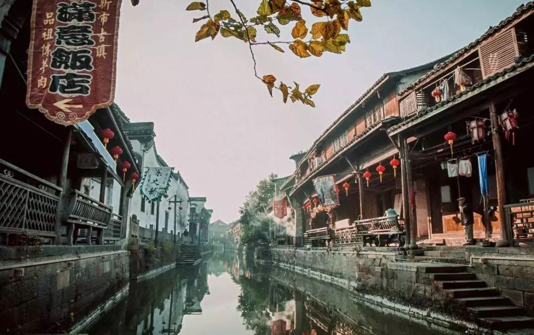 救援小巨鳄