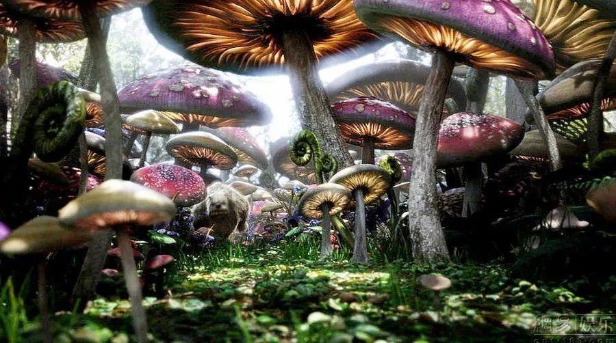 逃离诡异的古庙